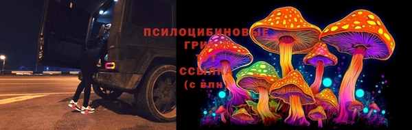 гашик Богородск