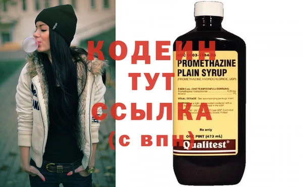 спиды Богородицк