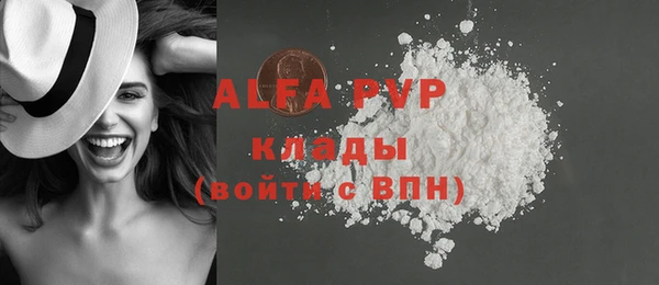 молекула духа Бородино
