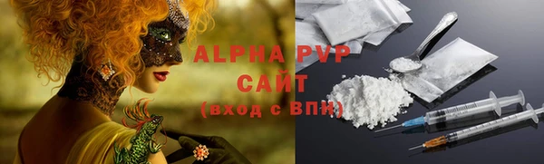 спиды Богородицк
