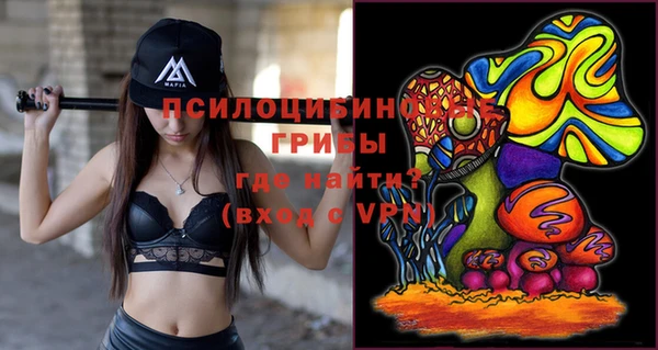 молекула духа Бородино