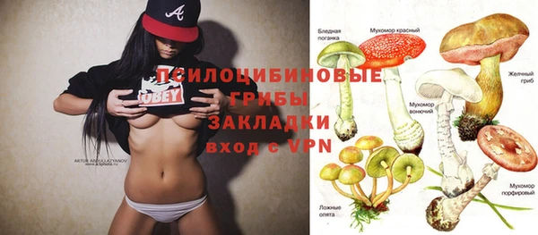 ешки Богданович