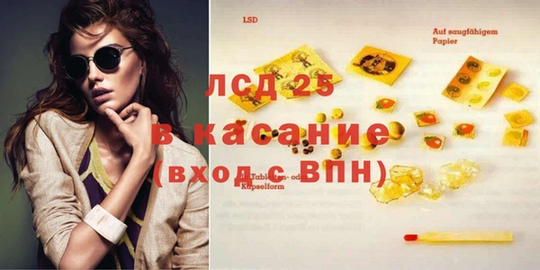 молекула духа Бородино