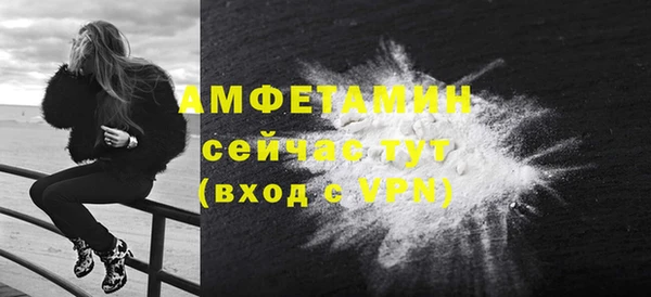 спиды Богородицк