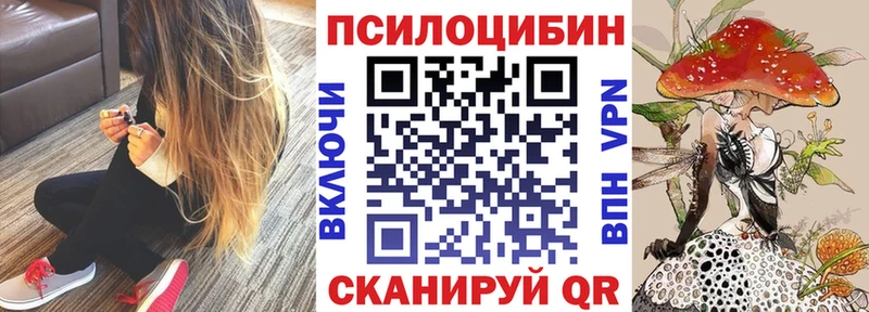 купить Старица Галлюциногенные грибы ЛСД
